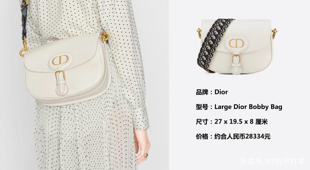 迪奥的标志logo包包，LV的标志logo包包