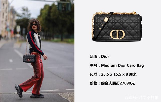 迪奥的标志logo包包，LV的标志logo包包