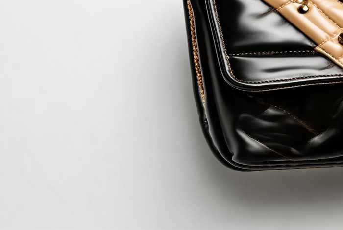 chanel香奈儿包包官网价格 - chanel香奈儿包包价格和图片 chanel香奈儿包包官网价格 - chanel香奈儿包包价格和图片