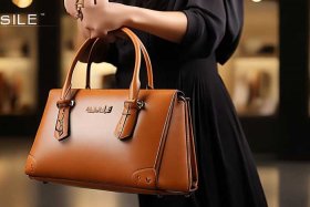 asile女包品牌介绍，asile女包价位