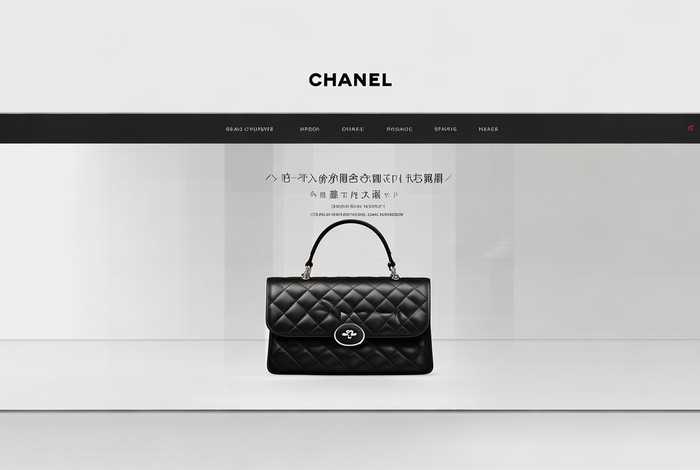 chanel 包 中国官网，chanel包中国官网入口