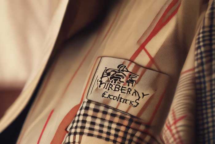 burberry的logo是什么样子的 - burberry的标志是什么样子的