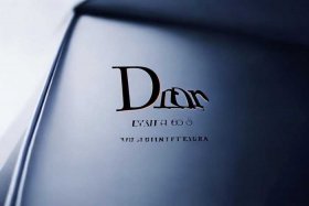 迪奥官网店logo（迪奥官网店男装）