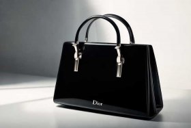 迪奥女包最新款 - 迪奥女包最新款图片