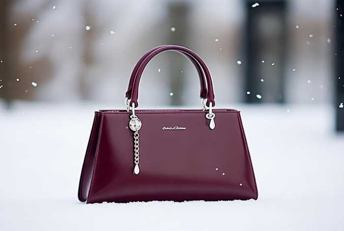 2020冬季新款包包（2020冬季新款女包）