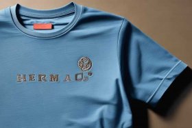 爱马仕男士体恤图片；爱马仕男士体恤图片及价格