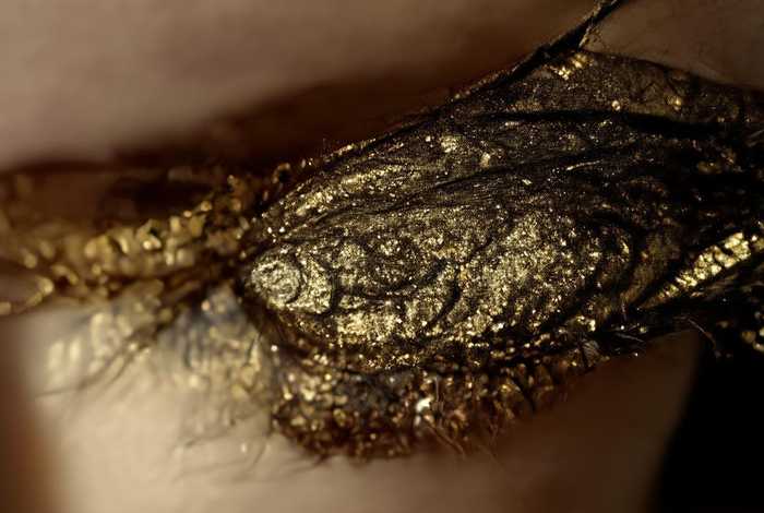 得物一千多的蔻驰包真的假的、得物上卖的蔻驰包是真的假的