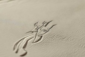 爱马仕女包标志图片 爱马仕女包标志图片 商标图案