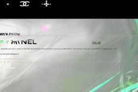 chanel软件真的假的（chanel软件下载）
