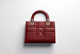 迪奥戴妃包包 - 迪奥戴妃包包图片