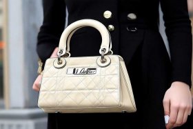 迪奥戴妃包熊猫色 迪奥戴妃包哪个颜色比较好看