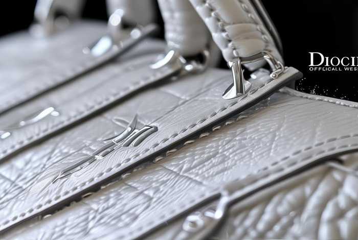 dior迪奥中国官方网站卖的包是正品吗 dior迪奥中国官方网站卖的包是正品吗知乎