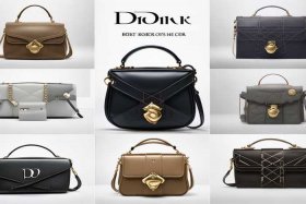 迪奥斜挎包包价格和图片对比、迪奥斜挎包包价格和图片对比大全