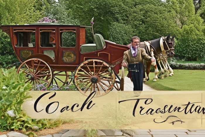 coach翻译、coach汉语翻译