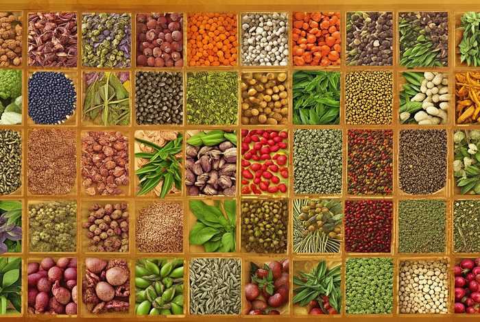 10大名贵中草药图片大全一览表；10大名贵中草药图片大全一览表下载