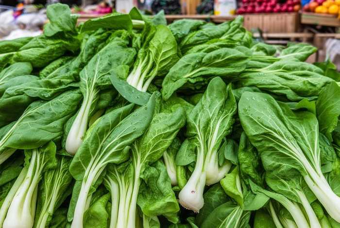 包包菜、包包菜学名叫什么