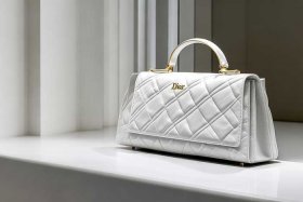 迪奥包包官方网（迪奥包包官方网站旗舰店）