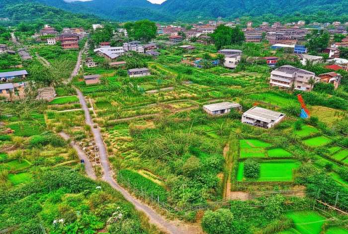 稻草人包包直播（稻草人包包直播脚本）