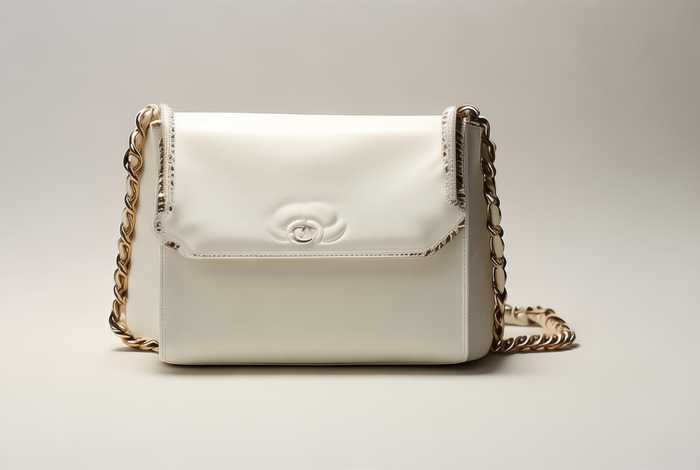 chanel 19bag鉴定，chanel 19bag woc