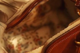 迪奥戴妃包简笔画（迪奥戴妃包内衬图片）