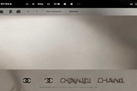 chanel官网中国官网入口，chanel官网中国官网入口查询