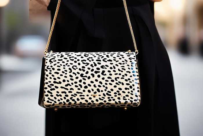 豹纹包包女款名牌（豹纹包包女款名牌图片）