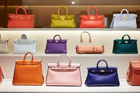 爱马仕女士包包官网 新款（爱马仕女士包包官网 新款多少钱）