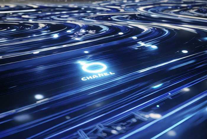 chanel什么意思网络；chanels什么意思