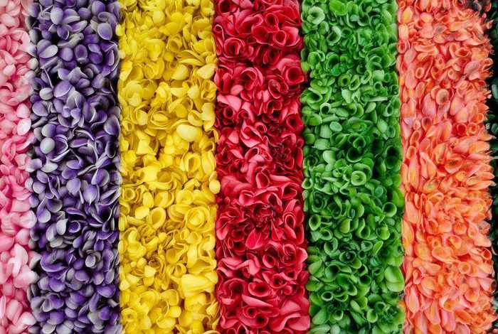 2021年春夏包包流行色、2021春夏季流行什么款式包包 2021年春夏包包流行色、2021春夏季流行什么款式包包