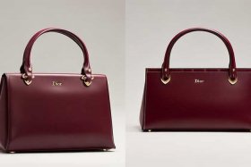迪奥双肩包（迪奥双肩包真假区别）