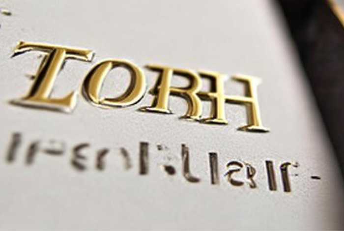 toryburch真假辨别图 - toryburchlogo真假辨别