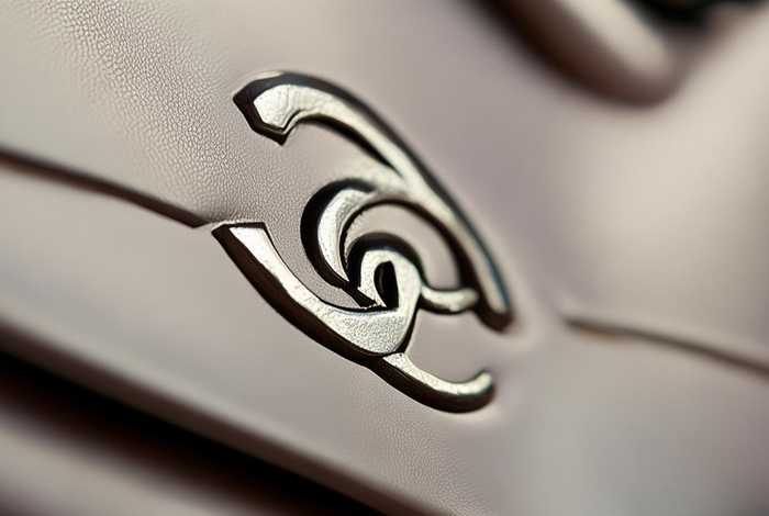 chanel镭射标鉴定 chanel镭射标在哪