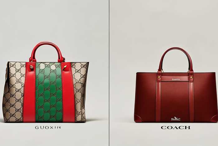 古驰和蔻驰的区别图片 - 古驰和蔻驰的区别图片大全