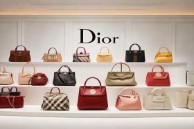 dior包包种类；dior包包分类