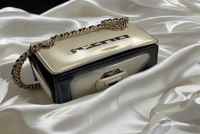 2020年香奈儿新款包；香奈儿2020年最新款包包价格