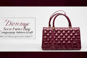 迪奥戴妃包七格价格、迪奥戴妃包官网价格