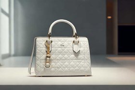 迪奥包包中国官网正品查询、迪奥包官网查询真伪