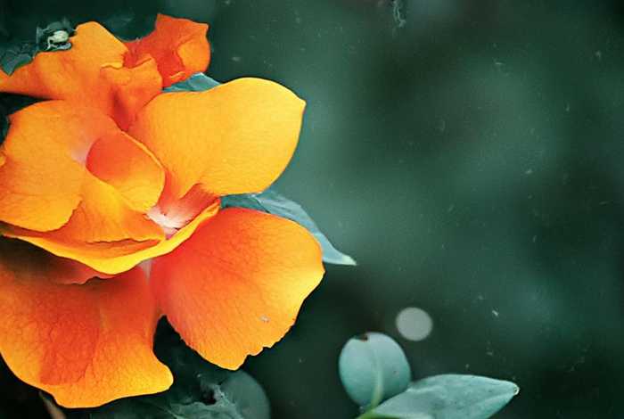 钩针编织斜挎包包图解 - 钩针编织斜挎包包图解视频