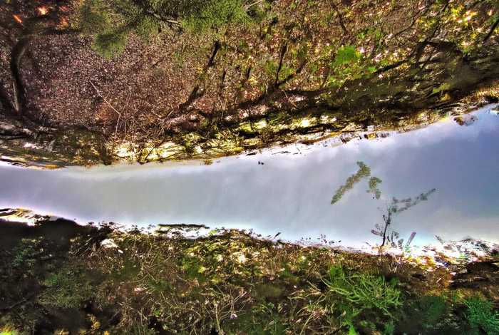 古驰男士皮带官网旗舰店、古驰男士皮带官网旗舰店在哪里