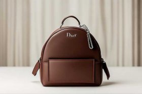 迪奥背包图片，迪奥背包图片真实