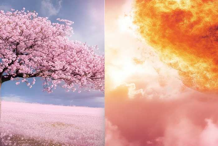 chloecherry个人资料；chloeeast个人资料