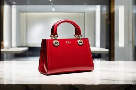 dior戴妃包官网、dior戴妃包官网价格