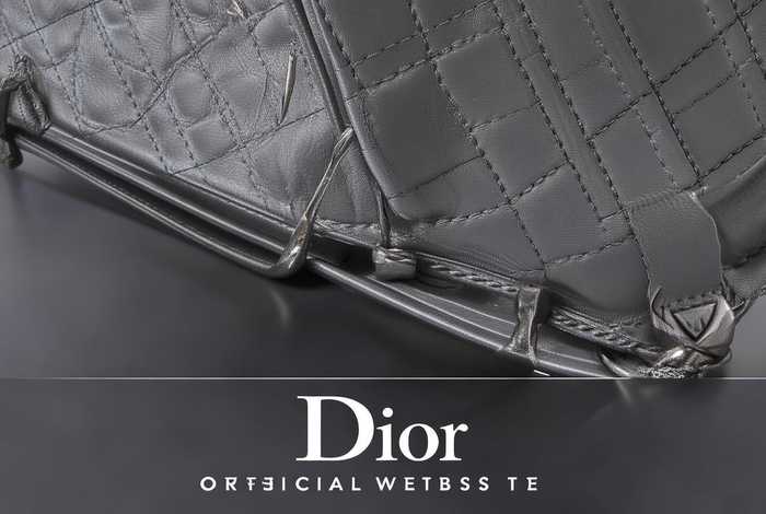 dior迪奥中国官方网站卖的包是正品吗 dior迪奥中国官方网站卖的包是正品吗知乎