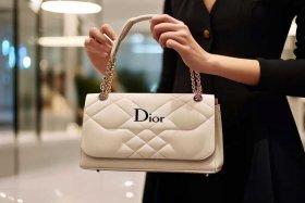 迪奥包推荐（品牌包推荐迪奥）
