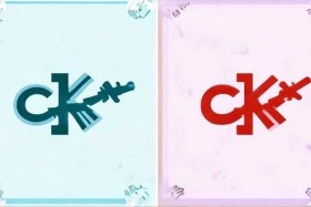 大ck和小ck的logo区别，大ck和小ck的标志区别