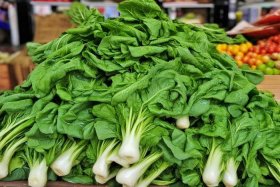 包包菜、包包菜学名叫什么