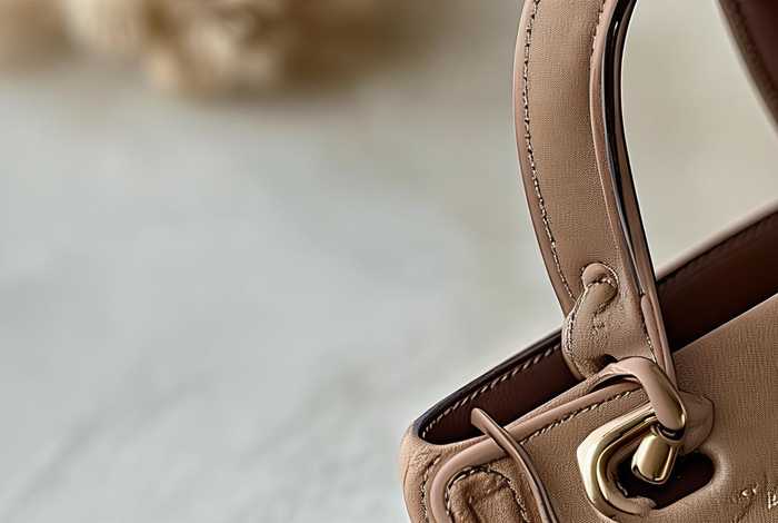 迪奥戴妃包磨砂掉皮能自己修复吗 - 迪奥戴妃包磨砂掉皮能自己修复吗多少钱