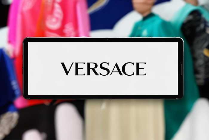 范思哲官网中国官方网；范思哲官网中国官方网站的访问方式