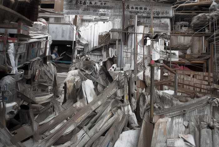 服装商标展示图；服装商标展示图案