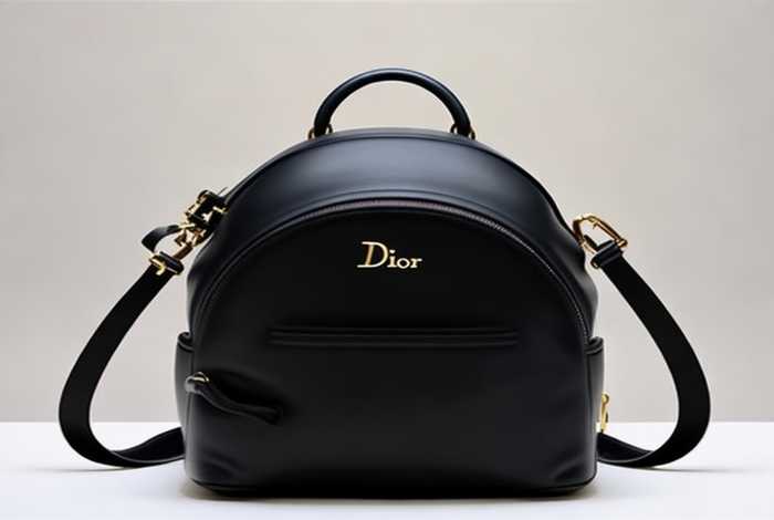 迪奥迷你黑色双肩包 迪奥迷你黑色双肩包图片